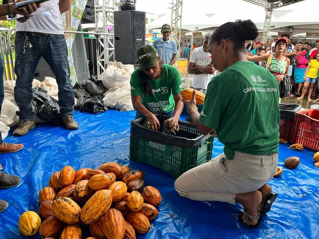 Camacã: Torneio de Quebra do Cacau é marcado com surpresas e muita emoção 

